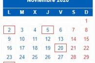 Calendario Contribuyente. NOVIEMBRE 2020