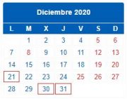 Calendario Contribuyente. DICIEMBRE 2020