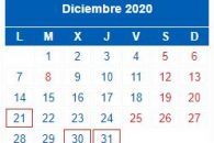 Calendario Contribuyente. DICIEMBRE 2020