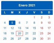 Calendario contribuyente. Enero 2021