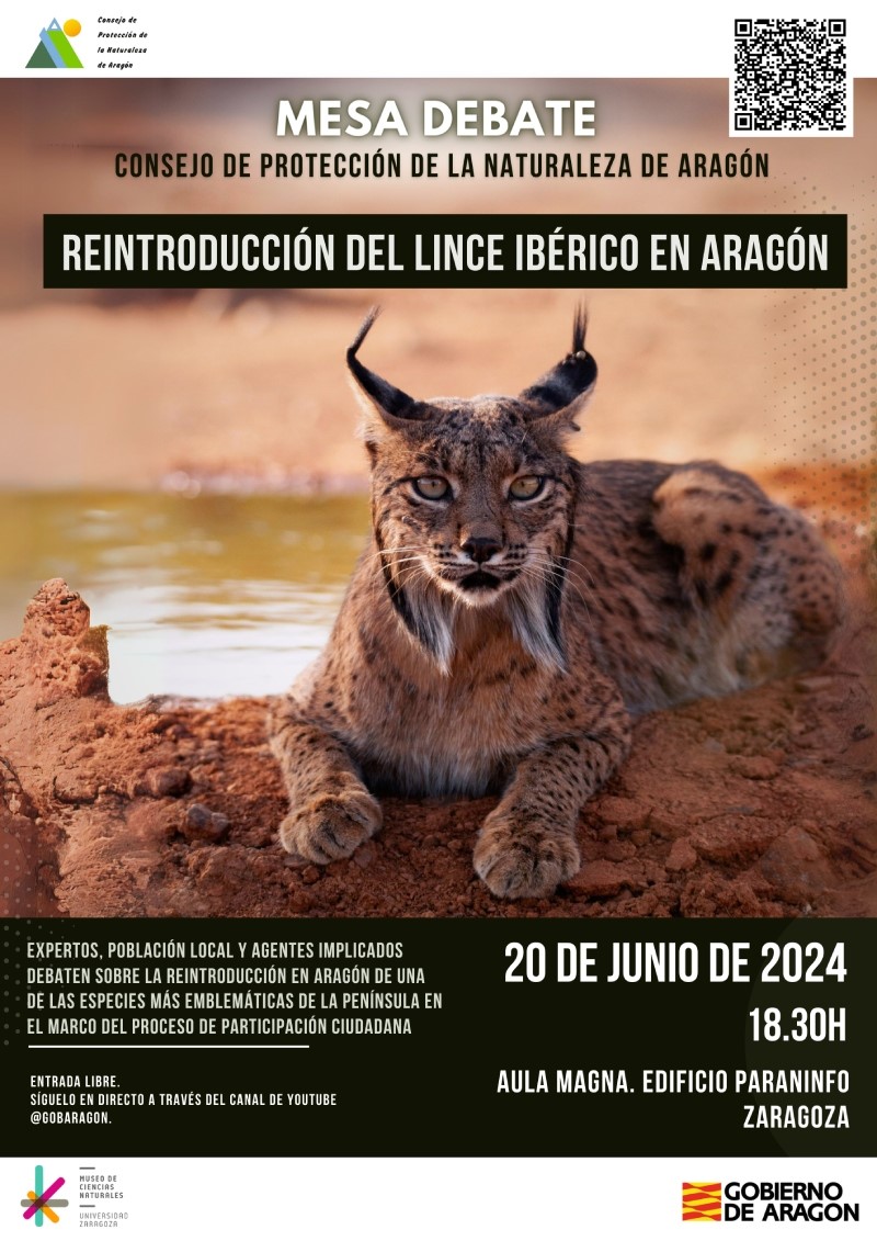 El Consejo de Protección de la Naturaleza organiza una mesa debate para acercar el proyecto de reintroducción del lince ibérico