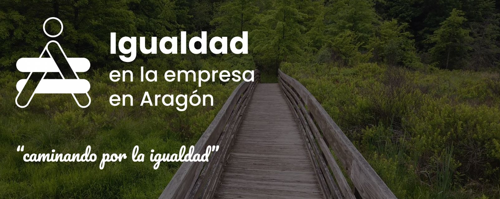 Igualdad en la Empresa en Aragón