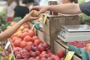 Subvenciones para la venta local de productos agroalimentarios en Aragón