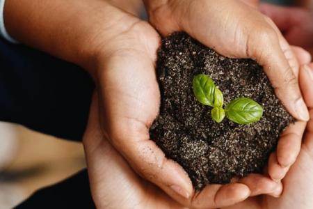 Captura de pantalla 2023-10-23 095304