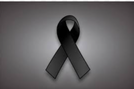 Captura de pantalla 2025-08-11 110317