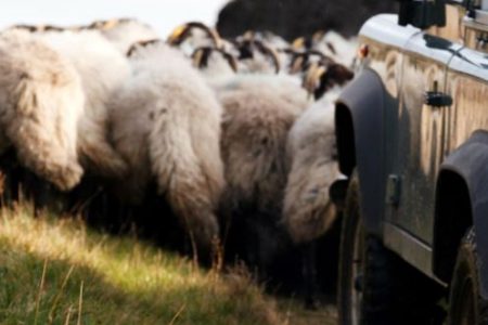 PRL sector agropecuario