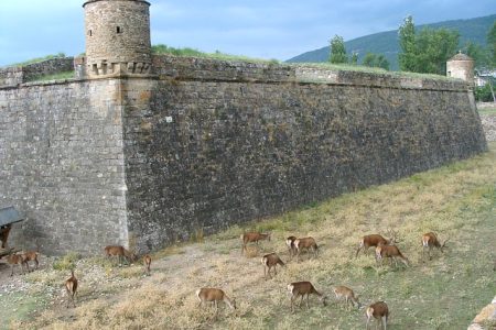 citadel-g829ce0319_640