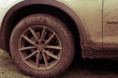 pexels-magda-ehlers-pexels-770536