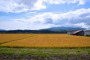 CEPYME Aragón, CEOE Aragón y el Consejo Aragonés de Cámaras apoyan al sector agrario en la defensa de la viabilidad empresarial, alimentaria y del medio rural