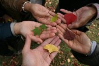 Jornada de trabajo: “Diversidad en el ámbito laboral”