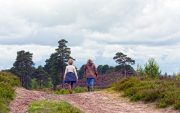 Ayudas de la DPZ para el autoempleo femenino en el mundo rural